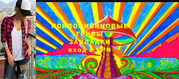 прущие грибы Снежногорск