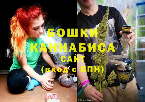 ешки Снежинск