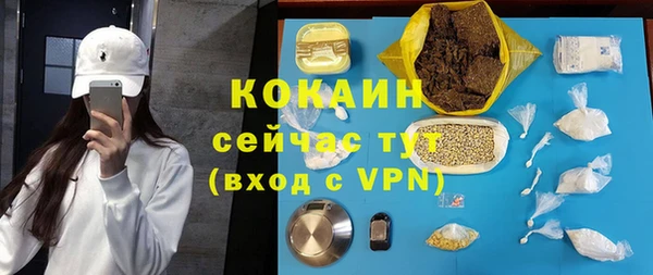 ешки Алексин