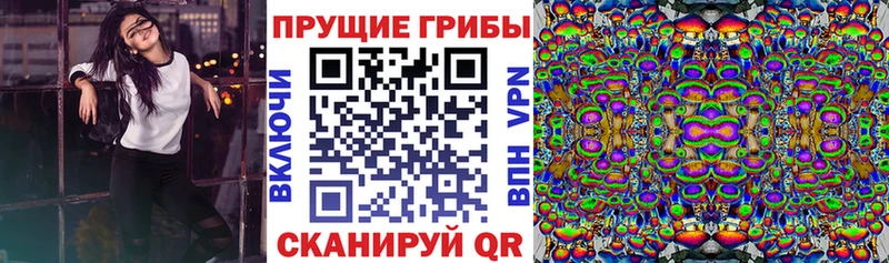 Галлюциногенные грибы мицелий  Шадринск 