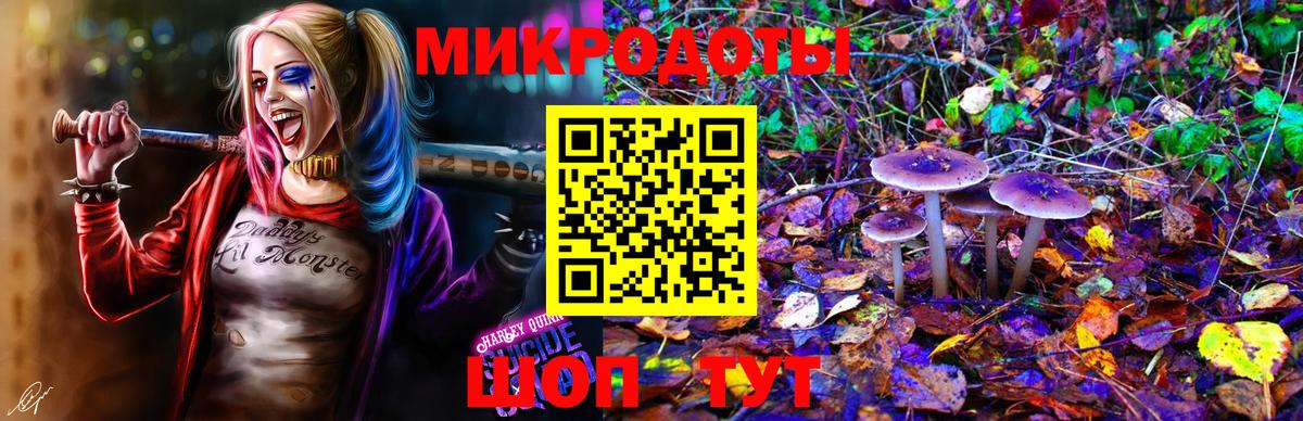 Шадринск  Псилоцибиновые грибы MAGIC MUSHROOMS  Вход с VPN  Псилоцибиновые грибы ЛСД 